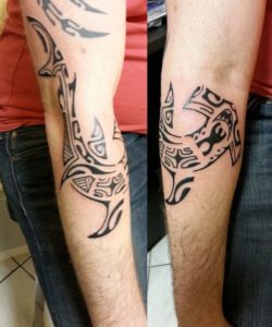 Tatouage maorie avant bras homme requin